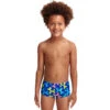 Funky Trunks - Balloon Dog - Toddler Boys Printed Trunks 1 Funky Trunks - Balloon Dog - Toddler Boys Printed Trunks -Swimwear Haven Shop funky trunks balloon dog toddler boys printed trunks 1