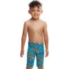 Funky Trunks - Beep Beep - Toddler Boys Miniman Jammer -Swimwear Haven Shop funky trunks beep beep toddler boys miniman jammer 1