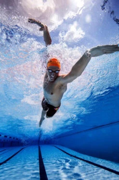 Funky Trunks - Clockwork Orange Boys Jammers 13 Funky Trunks - Clockwork Orange Boys Jammers -Swimwear Haven Shop funky trunks boys swimwear clockwork orange jammers 4