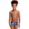 Funky Trunks - Futurismo - Toddler Boys Printed Trunks 1 Funky Trunks - Futurismo - Toddler Boys Printed Trunks -Swimwear Haven Shop funky trunks futurismo toddler boys printed trunks 1