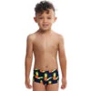Funky Trunks - Golden Circle - Toddler Boys Printed Trunks -Swimwear Haven Shop funky trunks golden circle toddler boys printed trunks 1