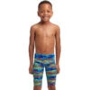 Funky Trunks - No Cheating - Toddler Boys Eco Miniman Jammers 2 Funky Trunks - No Cheating - Toddler Boys Eco Miniman Jammers -Swimwear Haven Shop funky trunks no cheating toddler boys eco miniman jammers 1