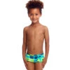 Funky Trunks - Pop Tropo - Toddler Boys Printed Trunks -Swimwear Haven Shop funky trunks pop tropo toddler boys printed trunks 1
