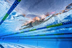 Funky Trunks - Royal Fleet - Mens Sidewinder Trunks 20 Funky Trunks - Royal Fleet - Mens Sidewinder Trunks -Swimwear Haven Shop funky trunks royal fleet mens sidewinder trunks 9