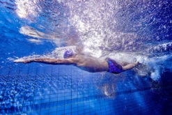 Funky Trunks - Rusted - Mens Training Jammers 18 Funky Trunks - Rusted - Mens Training Jammers -Swimwear Haven Shop funky trunks rusted mens training jammers 8