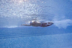 Funky Trunks - Sunset Strip - Mens Plain Front Trunks -Swimwear Haven Shop funky trunks sunset strip mens plain front trunks 10