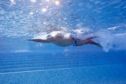 Funky Trunks - Sunset Strip - Mens Plain Front Trunks -Swimwear Haven Shop funky trunks sunset strip mens plain front trunks 11