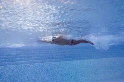 Funky Trunks - Sunset Strip - Mens Plain Front Trunks -Swimwear Haven Shop funky trunks sunset strip mens plain front trunks 9