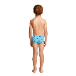 Funky Trunks - Tweety Tweet Toddler Boys Printed Trunk 9 Funky Trunks - Tweety Tweet Toddler Boys Printed Trunk -Swimwear Haven Shop funky trunks tweety tweet boys toddler printed trunk 3