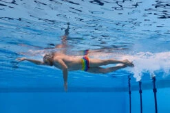 Funky Trunks - Wing It - Mens Plain Front Trunks 23 Funky Trunks - Wing It - Mens Plain Front Trunks -Swimwear Haven Shop funky trunks wing it mens plain front trunks 10