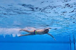 Funky Trunks - Wing It - Mens Plain Front Trunks 24 Funky Trunks - Wing It - Mens Plain Front Trunks -Swimwear Haven Shop funky trunks wing it mens plain front trunks 11