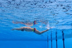 Funky Trunks - Wing It - Mens Plain Front Trunks 25 Funky Trunks - Wing It - Mens Plain Front Trunks -Swimwear Haven Shop funky trunks wing it mens plain front trunks 12